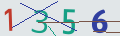 verifycode